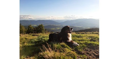 Hundehotel - Österreich - wunderbar zum Wandern mit dem Hund im Herbst!! - Ferienhaus Harmonie