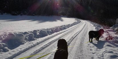 Hundehotel - Wanderwege - Wunderschöne Winterwanderwege in ruhiger abgelegene  Gegend hier gibt es eine gemäßigten Tourismus!! Man begegnet nur ganz selten weitere Hunde auf den Wanderungen !! - Ferienhaus Harmonie