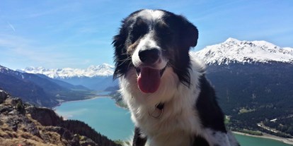 Hundehotel - Verpflegung: Halbpension - Trentino-Südtirol - Coudy auf Wanderschaft - Hotel Reschnerhof