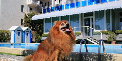 Hundehotel - Ladestation Elektroauto - Italien - Pet-Friendly? Eine echte Philosophie!

In unserem Hotel direkt am Meer sind Haustiere immer gerne ohne weiteren Zuschlag willkommen. - Hotel Croce di Malta