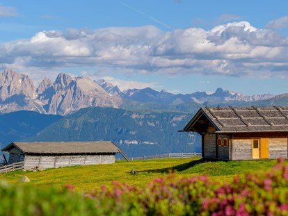 Hundehotel - Verpflegung: 3/4 Pension - Trentino-Südtirol - Hoteleigene Alm - Sonnenhotel Adler Nature Spa Adults only