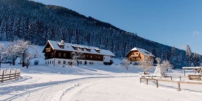 Hundehotel - Snowboarden - Ferienparadies Wiesenbauer im Winter - Ferienparadies Wiesenbauer