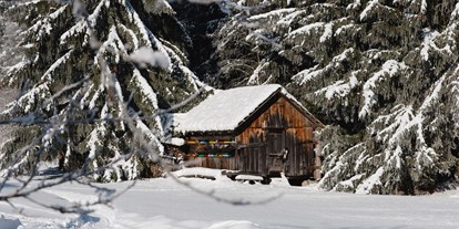 Hundehotel - Winterwanderwege - Ein Wintermärchen - Ferienparadies Wiesenbauer
