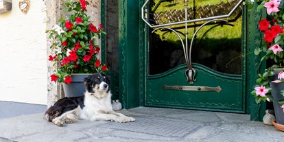 Hundehotel - Hund im Restaurant erlaubt - Ramsau am Dachstein - Unsere Hütehündin Spezi - Ganzenhubhof