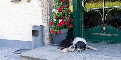 Hundehotel - Hund im Restaurant erlaubt - Ramsau am Dachstein - Ganzenhubhof