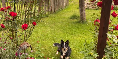 Hundehotel - Österreich - Elkes schöner Vorgarten - Alpenlodge AUSseeZEIT 