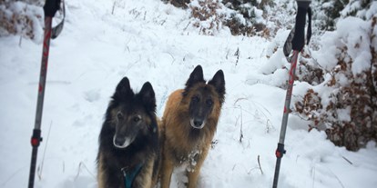 Hundehotel - Bergwanderungen - Alpenlodge AUSseeZEIT 