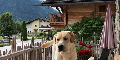 Hundehotel - Trink-/Fressnapf: an der Rezeption - Ramsau am Dachstein - Promi Alm Flachau