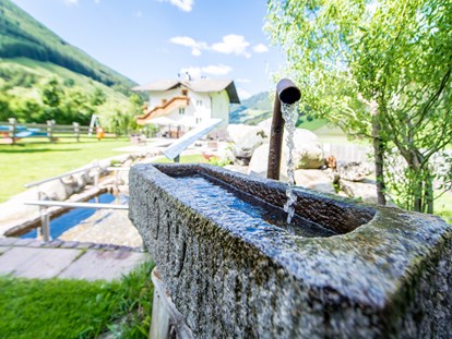 Hundehotel - Klassifizierung: 3 Sterne - Trentino-Südtirol - Hotel Sonja