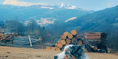 Hundehotel - Hundewiese: eingezäunt - Steiermark - Alpenblick Hotel Kreischberg
