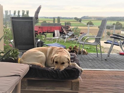 Hundehotel - Sauna - Eine Oase für Hunde. - Maifelder Wellness-Loft mit Naturpanorama und 70 Inklusiv-Leistungen