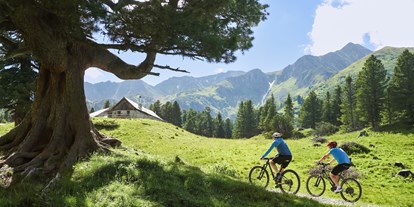 Hundehotel - Umgebungsschwerpunkt: Berg - Steiermark - Radtouren im Murtal in der Steiermark - Sloho Bergurlaub