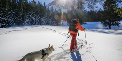 Hundehotel - Umgebungsschwerpunkt: Berg - Steiermark - Skitouren mit Hund - Sloho Bergurlaub