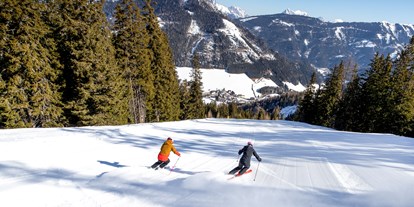 Hundehotel - Umgebungsschwerpunkt: Berg - Steiermark - Skifahren im Murtal - Sloho Bergurlaub