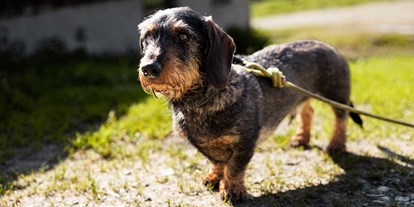 Hundehotel - Bademöglichkeit für Hunde - Pinzgau - DAS Neukirchen | Wildkogel Resorts