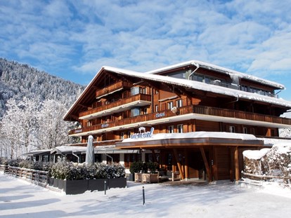 Hundehotel - Umgebungsschwerpunkt: Berg - Hotel im Winter - Arc-en-ciel Gstaad