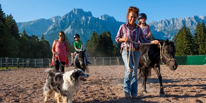 Hundehotel - Hundewiese: eingezäunt - Tiroler Unterland - Hotel Landhof