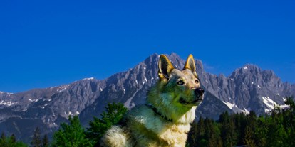 Hundehotel - Hundewiese: eingezäunt - Tiroler Unterland - Hotel Landhof