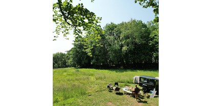 Hundehotel - Wäschewechsel - Waldpark Lukas und Cornelius