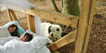 Hundehotel - Schwerpunkt: in Seenähe - Waldpark Lukas und Cornelius