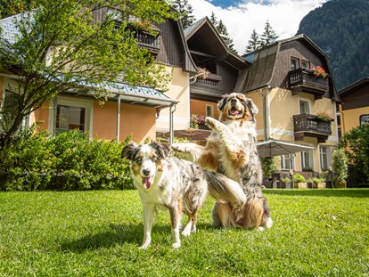 Hundehotel - Hund im Restaurant erlaubt - Österreich - 4000m² Hundewiese da ist für jeden Platz - GRUBERS Hotel Apartments Gastein