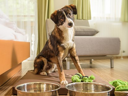 Hundehotel - ausschließlich für Hundeliebhaber - Hundebegrüßungspaket - GRUBERS Hotel Apartments Gastein