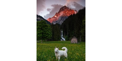 Hundehotel - Hundewiese: nicht eingezäunt - Schweiz - Digital Detox Hotel & Restaurant Simmenfälle 