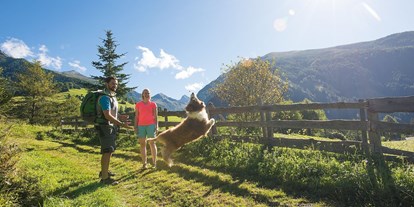 Hundehotel - Halbpension - Eine Almwanderung mit Hund ist ein Riesenspaß - Almchalet Goldbergleiten | Romantische Berghütte - traumhafte Sonnenlage im Nationalpark Hohe Tauern
