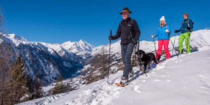 Hundehotel - Schwerpunkt: exklusive Unterkunft - Schneeschuh-Wandern mit dem Nationalpark-Ranger. Dein Hund darf mit ! - Almchalet Goldbergleiten | Romantische Berghütte - traumhafte Sonnenlage im Nationalpark Hohe Tauern