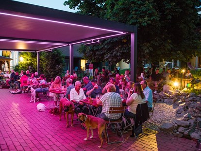 Hundehotel - Ladestation Elektroauto - Abendstimmung auf der Terrasse - Seehotel Moldan
