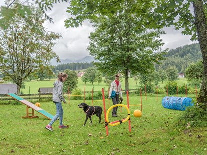 Hundehotel - Umgebungsschwerpunkt: Berg - Schladming-Dachstein - Agility Park für Hunde direkt am Hotelgelände, auch im Winter - Almfrieden Hotel & Romantikchalet