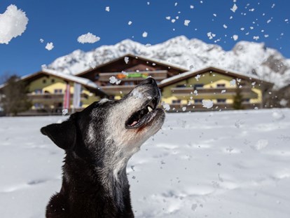 Hundehotel - Hundewiese: eingezäunt - Steiermark - Sapß im Schnee - auch für Ihren Vierbeiner! - Almfrieden Hotel & Romantikchalet