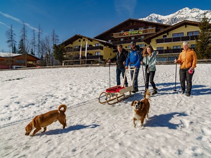 Hundehotel - Preisniveau: moderat - Steiermark - Winterwandern direkt vom Hotel - Almfrieden Hotel & Romantikchalet