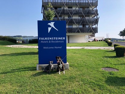 Hundehotel - keine Leinenpflicht im Hotel - Österreich - Hunde lieben das Hotel - Falkensteiner Genuss & Wohlfühlhotel Mühlviertel