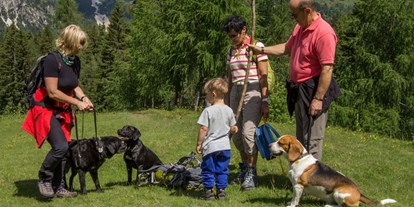 Hundehotel - Pools: Außenpool nicht beheizt - Wildkräuterhotel Steinschalerhof