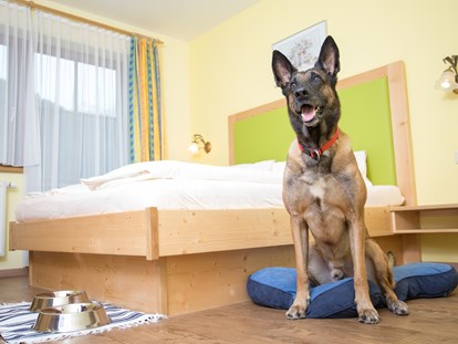 Hundehotel - Bademöglichkeit für Hunde - Pinzgau - Doppelzimmer - Hotel Grimming Dogs & Friends