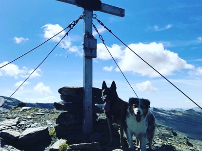Hundehotel - Umgebungsschwerpunkt: Berg - Wandern - Hotel Grimming Dogs & Friends