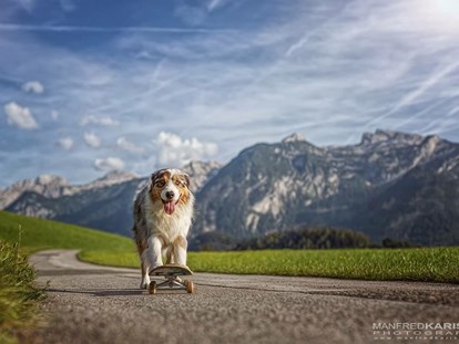 Hundehotel - Agility Parcours - Pinzgau - Spiel und Spaß auf zwei oder vier Beinen - Hotel Grimming Dogs & Friends