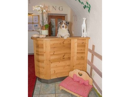 Hundehotel - Hund im Restaurant erlaubt - Österreich - Hotel Grimming Dogs & Friends - Hotel Grimming Dogs & Friends
