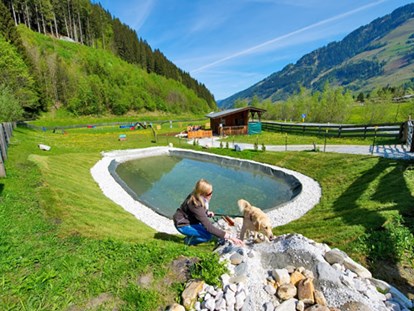 Hundehotel - Großarl - Mensch und Hund genießen die Natur - Hotel Grimming Dogs & Friends