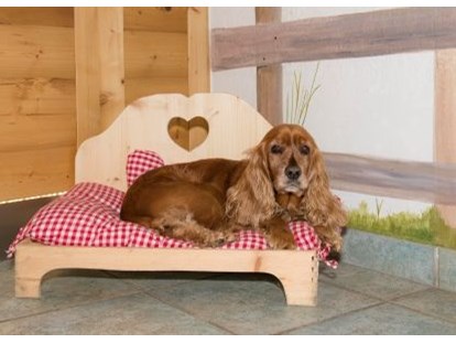 Hundehotel - Bademöglichkeit für Hunde - Pinzgau - Hundebett - Hotel Grimming Dogs & Friends