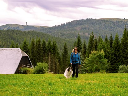 Hundehotel - Umgebungsschwerpunkt: Berg - Waldhotel am Notschreipass