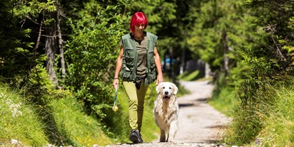 Hundehotel - Hund im Restaurant erlaubt - Trentino-Südtirol - Caravan Park Sexten
