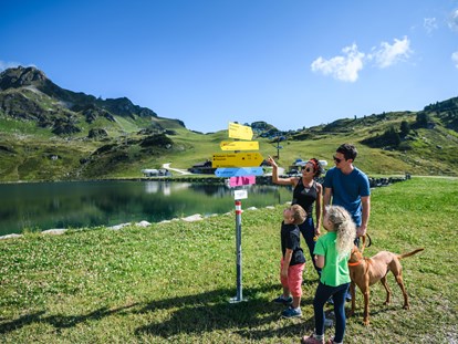 Hundehotel - Umgebungsschwerpunkt: Berg - Hotel Binggl Obertauern