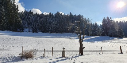 Hundehotel - Umgebungsschwerpunkt: Fluss - Ramsau am Dachstein - Alpenhof Sankt Martin