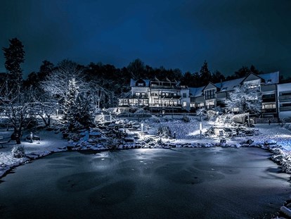 Hundehotel - Pools: Schwimmteich - Bayern - Winter im Bergfried - Natur-Hunde-Hotel Bergfried
