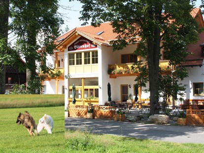 Hundehotel - Unterkunftsart: Chalets - Bayern - Hotel Bärenhof