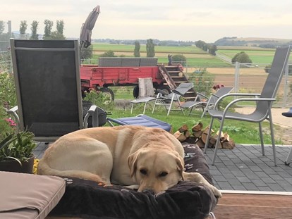 Hundehotel - Sauna - Wolfi, ein Gasthund, freut sich über die Hunde-Couch im Panorama-Pavillon des eingezäunten Gartens.  - Wellness-Ferienhaus Maifelder Uhlenhorst mit Spa