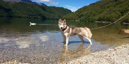 Hundehotel - Levico Terme - Kann es Ihr Hund auch kaum erwarten der Gans ins Wasser hinterherzujagen.  - Hotel Sport