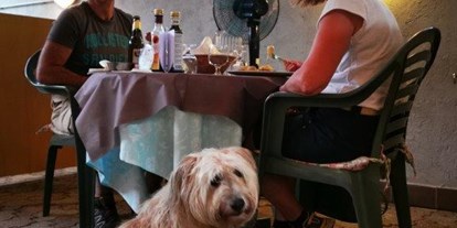 Hundehotel - Doggies: 2 Doggies - Italien - Bei solch Gaumenschmaus will jeder was haben. - Hotel Sport